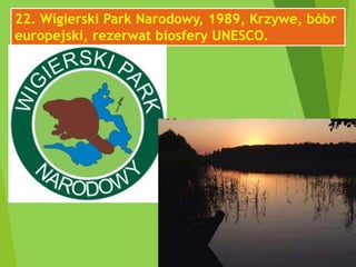 22. Wigierski Park Narodowy, 1989, Krzywe, bóbr
europejski, rezerwat biosfery UNESCO.
 