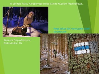 W obrębie Parku Narodowego może istnieć Muzeum Przyrodnicze.
Muzeum Przyrodnicze w
Białowieskim PN
Mogą także być wytyczone szlaki
turystyczne
 