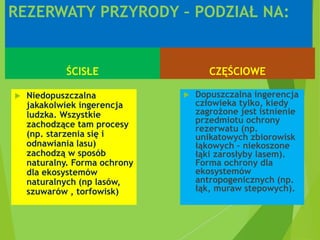 REZERWATY PRZYRODY – PODZIAŁ NA:
ŚCISŁE
 Niedopuszczalna
jakakolwiek ingerencja
ludzka. Wszystkie
zachodzące tam procesy
(np. starzenia się i
odnawiania lasu)
zachodzą w sposób
naturalny. Forma ochrony
dla ekosystemów
naturalnych (np lasów,
szuwarów , torfowisk)
CZĘŚCIOWE
 Dopuszczalna ingerencja
człowieka tylko, kiedy
zagrożone jest istnienie
przedmiotu ochrony
rezerwatu (np.
unikatowych zbiorowisk
łąkowych – niekoszone
łąki zarosłyby lasem).
Forma ochrony dla
ekosystemów
antropogenicznych (np.
łąk, muraw stepowych).
 