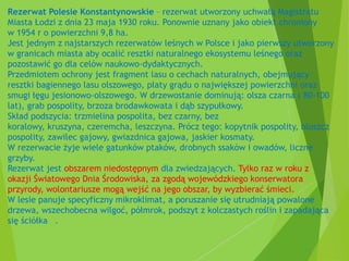 Rezerwat Polesie Konstantynowskie – rezerwat utworzony uchwałą Magistratu
Miasta Łodzi z dnia 23 maja 1930 roku. Ponownie uznany jako obiekt chroniony
w 1954 r o powierzchni 9,8 ha.
Jest jednym z najstarszych rezerwatów leśnych w Polsce i jako pierwszy utworzony
w granicach miasta aby ocalić resztki naturalnego ekosystemu leśnego oraz
pozostawić go dla celów naukowo-dydaktycznych.
Przedmiotem ochrony jest fragment lasu o cechach naturalnych, obejmujący
resztki bagiennego lasu olszowego, płaty grądu o największej powierzchni oraz
smugi łęgu jesionowo-olszowego. W drzewostanie dominują: olsza czarna ( 80-100
lat), grab pospolity, brzoza brodawkowata i dąb szypułkowy.
Skład podszycia: trzmielina pospolita, bez czarny, bez
koralowy, kruszyna, czeremcha, leszczyna. Prócz tego: kopytnik pospolity, bluszcz
pospolity, zawilec gajowy, gwiazdnica gajowa, jaskier kosmaty.
W rezerwacie żyje wiele gatunków ptaków, drobnych ssaków i owadów, liczne
grzyby.
Rezerwat jest obszarem niedostępnym dla zwiedzających. Tylko raz w roku z
okazji Światowego Dnia Środowiska, za zgodą wojewódzkiego konserwatora
przyrody, wolontariusze mogą wejść na jego obszar, by wyzbierać śmieci.
W lesie panuje specyficzny mikroklimat, a poruszanie się utrudniają powalone
drzewa, wszechobecna wilgoć, półmrok, podszyt z kolczastych roślin i zapadająca
się ściółka[2].
 