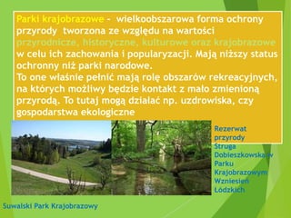 Parki krajobrazowe - wielkoobszarowa forma ochrony
przyrody tworzona ze względu na wartości
przyrodnicze, historyczne, kulturowe oraz krajobrazowe
w celu ich zachowania i popularyzacji. Mają niższy status
ochronny niż parki narodowe.
To one właśnie pełnić mają rolę obszarów rekreacyjnych,
na których możliwy będzie kontakt z mało zmienioną
przyrodą. To tutaj mogą działać np. uzdrowiska, czy
gospodarstwa ekologiczne
Suwalski Park Krajobrazowy
Rezerwat
przyrody
Struga
Dobieszkowska w
Parku
Krajobrazowym
Wzniesień
Łódzkich
 