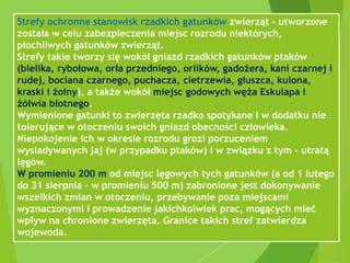 Strefy ochronne stanowisk rzadkich gatunków zwierząt - utworzone
została w celu zabezpieczenia miejsc rozrodu niektórych,
płochliwych gatunków zwierząt.
Strefy takie tworzy się wokół gniazd rzadkich gatunków ptaków
(bielika, rybołowa, orła przedniego, orlików, gadożera, kani czarnej i
rudej, bociana czarnego, puchacza, cietrzewia, głuszca, kulona,
kraski i żołny), a także wokół miejsc godowych węża Eskulapa i
żółwia błotnego.
Wymienione gatunki to zwierzęta rzadko spotykane i w dodatku nie
tolerujące w otoczeniu swoich gniazd obecności człowieka.
Niepokojenie ich w okresie rozrodu grozi porzuceniem
wysiadywanych jaj (w przypadku ptaków) i w związku z tym - utratą
lęgów.
W promieniu 200 m od miejsc lęgowych tych gatunków (a od 1 lutego
do 31 sierpnia - w promieniu 500 m) zabronione jest dokonywanie
wszelkich zmian w otoczeniu, przebywanie poza miejscami
wyznaczonymi i prowadzenie jakichkolwiek prac, mogących mieć
wpływ na chronione zwierzęta. Granice takich stref zatwierdza
wojewoda.
 
