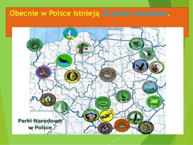 Ochrona Przyrody Biologia Ochrona przyrody w lp