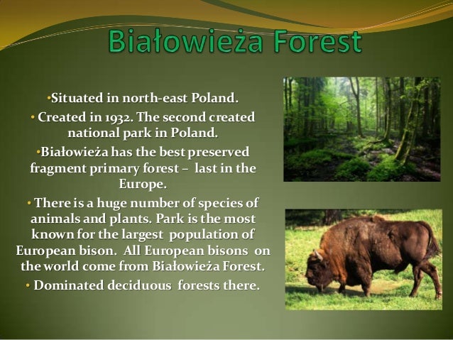 Common Natural Resources In Poland Common Natural Resources In Poland