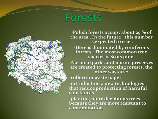 Jak Chronimy Przyrodę W Polsce Ochrona przyrody w polsce