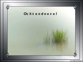 [email_address] Ochtendnevel 