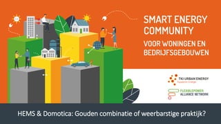 HEMS & Domotica: Gouden combinatie of weerbarstige praktijk?
 