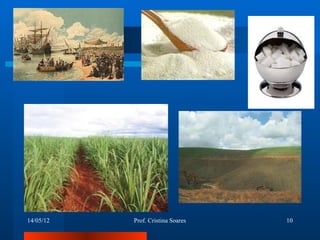 14/05/12   Prof. Cristina Soares   10
 