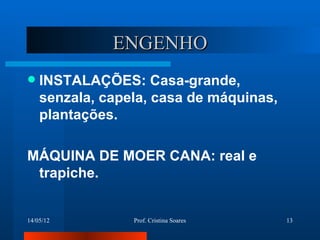 ENGENHO
   INSTALAÇÕES: Casa-grande,
    senzala, capela, casa de máquinas,
    plantações.

MÁQUINA DE MOER CANA: real e
 trapiche.


14/05/12         Prof. Cristina Soares   13
 
