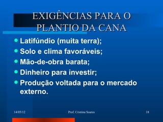 EXIGÊNCIAS PARA O
            PLANTIO DA CANA
 Latifúndio (muita terra);
 Solo e clima favoráveis;
 Mão-de-obra barata;
 Dinheiro para investir;
 Produção voltada para o mercado
  externo.

14/05/12         Prof. Cristina Soares   18
 