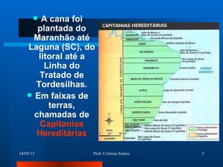 A cana foi
       plantada do
      Maranhão até
    Laguna (SC), do
       litoral até a
         Linha do
       Tratado de
      Tordesilhas.
     Em faixas de
          terras,
      chamadas de
       Capitanias
      Hereditárias

14/05/12           Prof. Cristina Soares   3
 