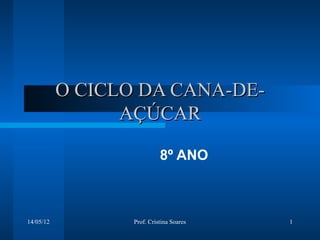 O CICLO DA CANA-DE-
                 AÇÚCAR

                            8º ANO



14/05/12          Prof. Cristina Soares   1
 