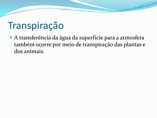 TranspiraçãoA transferência da água da superfície para a atmosfera também ocorre por meio de transpiração das plantas e dos animais.