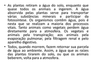 • As plantas retiram a água do solo, enquanto que
quase todos os animais a ingerem. A água
absorvida pelas plantas serve para transportar
várias substâncias minerais e participar da
fotossíntese. Os organismos contêm água, pois é
nesta que se realizam a maioria dos processos
vitais. Tanto animais como vegetais perdem água
diretamente para a atmosfera. Os vegetais e
animais pela transpiração; aos animais pela
evaporação pulmonar, pela filtragem renal e pelo
aparelho digestivo.
• Todos, quando morrem, fazem retornar sua parcela
de água ao ambiente. Assim, a água que as raízes
das plantas tirarem do solo, ou que os animais
beberem, volta para a atmosfera.
 