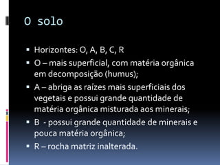 O solo
 Horizontes: O, A, B, C, R
 O – mais superficial, com matéria orgânica
em decomposição (humus);
 A – abriga as raízes mais superficiais dos
vegetais e possui grande quantidade de
matéria orgânica misturada aos minerais;
 B - possui grande quantidade de minerais e
pouca matéria orgânica;
 R – rocha matriz inalterada.
 