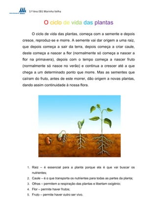 O ciclo de vida das plantas | PDF