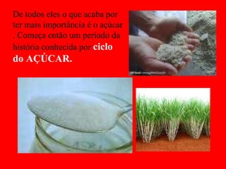De todos eles o que acaba por ter mais importância é o açúcar . Começa então um período da história conhecida por  ciclo do AÇÚCAR. 