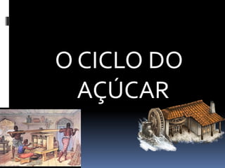 O CICLO DO
AÇÚCAR
 