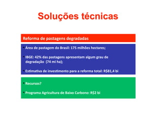 Reforma de pastagens degradadas 
•  Área de pastagem do Brasil: 175 milhões hectares; 

•  IBGE: 42% das pastagens apresentam algum grau de 
   degradação  (74 mi ha); 

•  EsDmaDva de invesDmento para a reforma total: R$81,4 bi  

•  Recursos? 

•  Programa Agricultura de Baixo Carbono: R$2 bi 
 