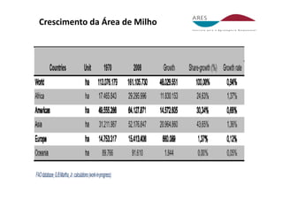 Crescimento da Área de Milho 
 