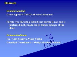 Ocimum
Ocimum sanctum
Green type (Sri Tulsi) is the most common
Purple type (Krishna Tulsi) bears purple leaves and is
preferred in the trade for its higher potency of the
drug.
Ocimum basilicum
Var - Cim-Soumya, Vikar Sudha
Chemical Constituents - Methyl chavicol, linalool
 