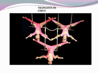 TRAPEZISTA DE CIRCO