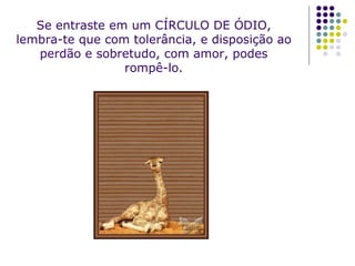 Se entraste em um CÍRCULO DE ÓDIO, lembra-te que com tolerância, e disposição ao perdão e sobretudo, com amor, podes rompê-lo. 