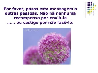 Por favor, passa esta mensagem a
outras pessoas. Não há nenhuma
recompensa por enviá-la
…… ou castigo por não fazê-lo.
 