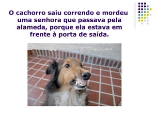 O cachorro saiu correndo e mordeu
uma senhora que passava pela
alameda, porque ela estava em
frente à porta de saída.
 