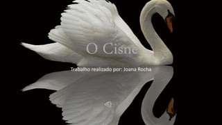 O Cisne
Trabalho realizado por: Joana Rocha
 