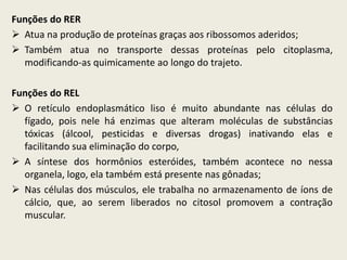 Funções do RER
 Atua na produção de proteínas graças aos ribossomos aderidos;
 Também atua no transporte dessas proteínas pelo citoplasma,
modificando-as quimicamente ao longo do trajeto.
Funções do REL
 O retículo endoplasmático liso é muito abundante nas células do
fígado, pois nele há enzimas que alteram moléculas de substâncias
tóxicas (álcool, pesticidas e diversas drogas) inativando elas e
facilitando sua eliminação do corpo,
 A síntese dos hormônios esteróides, também acontece no nessa
organela, logo, ela também está presente nas gônadas;
 Nas células dos músculos, ele trabalha no armazenamento de íons de
cálcio, que, ao serem liberados no citosol promovem a contração
muscular.
 
