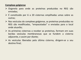 Complexo golgiense
 Organela para onde as proteínas produzidas no REG são
enviadas;
 É constituído por 6 a 20 cisternas empilhadas umas sobre as
outras;
 Nas vesículas do complexo golgiense, as proteínas produzidas no
REG são modificadas, “empacotadas” e enviadas para o local
onde atuarão;
 As primeiras cisternas a receber as proteínas, formam em suas
bordas vesículas membranosas que se fundem a cisterna
adjacente, e assim por diante;
 As vesículas liberadas pela última cisterna, dirigem-se a seu
destino final;
 