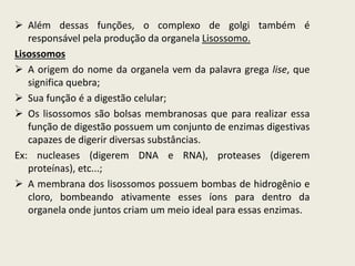  Além dessas funções, o complexo de golgi também é
responsável pela produção da organela Lisossomo.
Lisossomos
 A origem do nome da organela vem da palavra grega lise, que
significa quebra;
 Sua função é a digestão celular;
 Os lisossomos são bolsas membranosas que para realizar essa
função de digestão possuem um conjunto de enzimas digestivas
capazes de digerir diversas substâncias.
Ex: nucleases (digerem DNA e RNA), proteases (digerem
proteínas), etc...;
 A membrana dos lisossomos possuem bombas de hidrogênio e
cloro, bombeando ativamente esses íons para dentro da
organela onde juntos criam um meio ideal para essas enzimas.
 