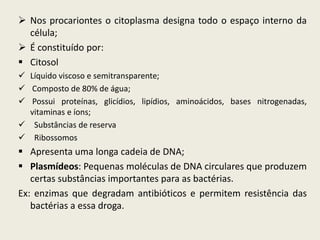  Nos procariontes o citoplasma designa todo o espaço interno da
célula;
 É constituído por:
 Citosol
 Líquido viscoso e semitransparente;
 Composto de 80% de água;
 Possui proteínas, glicídios, lipídios, aminoácidos, bases nitrogenadas,
vitaminas e íons;
 Substâncias de reserva
 Ribossomos
 Apresenta uma longa cadeia de DNA;
 Plasmídeos: Pequenas moléculas de DNA circulares que produzem
certas substâncias importantes para as bactérias.
Ex: enzimas que degradam antibióticos e permitem resistência das
bactérias a essa droga.
 