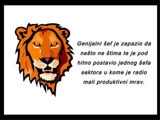 Genijalni šef je zapazio da
nešto ne štima te je pod
hitno postavio jednog šefa
sektora u kome je radio
mali produktivni mrav.
 