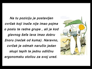 Na tu poziciju je postavljen
cvrčak koji inače nije imao pojma
o poslu te radne grupe , ali je kod
glavnog šefa lava imao dobru
žnoru (nećak od kuma). Naravno,
cvrčak je odmah naručio jedan
skupi tepih te jednu odličnu
ergonomsku stolicu za svoj ured.
 