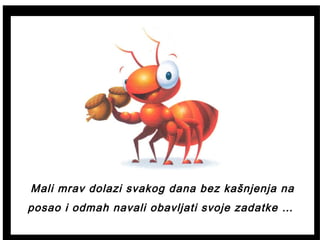 Mali mrav dolazi svakog dana bez kašnjenja na
posao i odmah navali obavljati svoje zadatke …
 