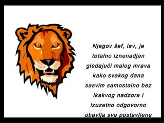 Njegov šef, lav, je
totalno iznenadjen
gledajući malog mrava
kako svakog dana
sasvim samostalno bez
ikakvog nadzora i
izuzetno odgovorno
obavlja sve postavljene
 
