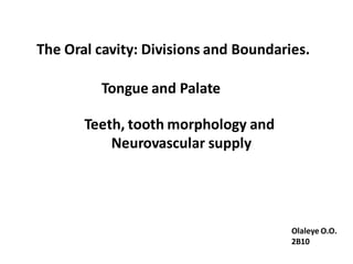 The Oral cavity: Divisions and Boundaries.

         Tongue and Palate

       Teeth, tooth morphology and
           Neurovascular supply




                                       Olaleye O.O.
                                       2B10
 