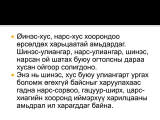  Øинэс-хус, нарс-хус хоорондоо
өрсөлдөх харьцаатай амьдардаг.
Шинэс-улиангар, нарс-улиангар, шинэс,
нарсан ой шатах буюу огтолсны дараа
хусан ойгоор солигдоно.
 Энэ нь шинэс, хус буюу улиангарт ургах
боломж өгөхгүй байсныг харуулахаас
гадна нарс-сорвоо, гацуур-ширх, царс-
хиагийн хооронд иймэрхүү харилцааны
амьдрал ил харагддаг байна.
 