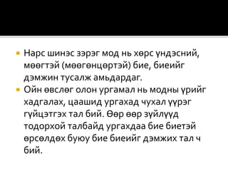  Нарс шинэс зэрэг мод нь хөрс үндэсний,
мөөгтэй (мөөгөнцөртэй) бие, биеийг
дэмжин тусалж амьдардаг.
 Ойн өвслөг олон ургамал нь модны үрийг
хадгалах, цаашид ургахад чухал үүрэг
гүйцэтгэх тал бий. Өөр өөр зүйлүүд
тодорхой талбайд ургахдаа бие биетэй
өрсөлдөх буюу бие биеийг дэмжих тал ч
бий.
 