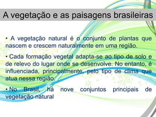 A vegetação e as paisagens brasileiras
• A vegetação natural é o conjunto de plantas que
nascem e crescem naturalmente em uma região.
• Cada formação vegetal adapta-se ao tipo de solo e
de relevo do lugar onde se desenvolve. No entanto, é
influenciada, principalmente, pelo tipo de clima que
atua nessa região.
• No Brasil, há nove conjuntos principais de
vegetação natural
 