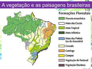 A vegetação e as paisagens brasileiras
 