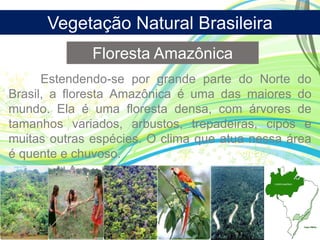 Vegetação Natural Brasileira
Floresta Amazônica
Estendendo-se por grande parte do Norte do
Brasil, a floresta Amazônica é uma das maiores do
mundo. Ela é uma floresta densa, com árvores de
tamanhos variados, arbustos, trepadeiras, cipós e
muitas outras espécies. O clima que atua nessa área
é quente e chuvoso.
 