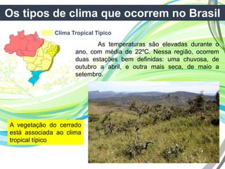 Os tipos de clima que ocorrem no Brasil
Clima Tropical Típico
As temperaturas são elevadas durante o
ano, com média de 22ºC. Nessa região, ocorrem
duas estações bem definidas: uma chuvosa, de
outubro a abril, e outra mais seca, de maio a
setembro.
A vegetação do cerrado
está associada ao clima
tropical típico
 