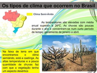 Os tipos de clima que ocorrem no Brasil
Clima Semi-Árido
As temperaturas são elevadas com média
anual superior a 26ºC. As chuvas são poucas
durante o ano e concentram-se num curto período
de tempo, geralmente de janeiro a abril.
Na faixa de terra em que
encontramos o clima
semiárido, está a caatinga. As
altas temperaturas e a pouca
quantidade de chuvas faz
com que a vegetação tenha
um aspecto desértico
 