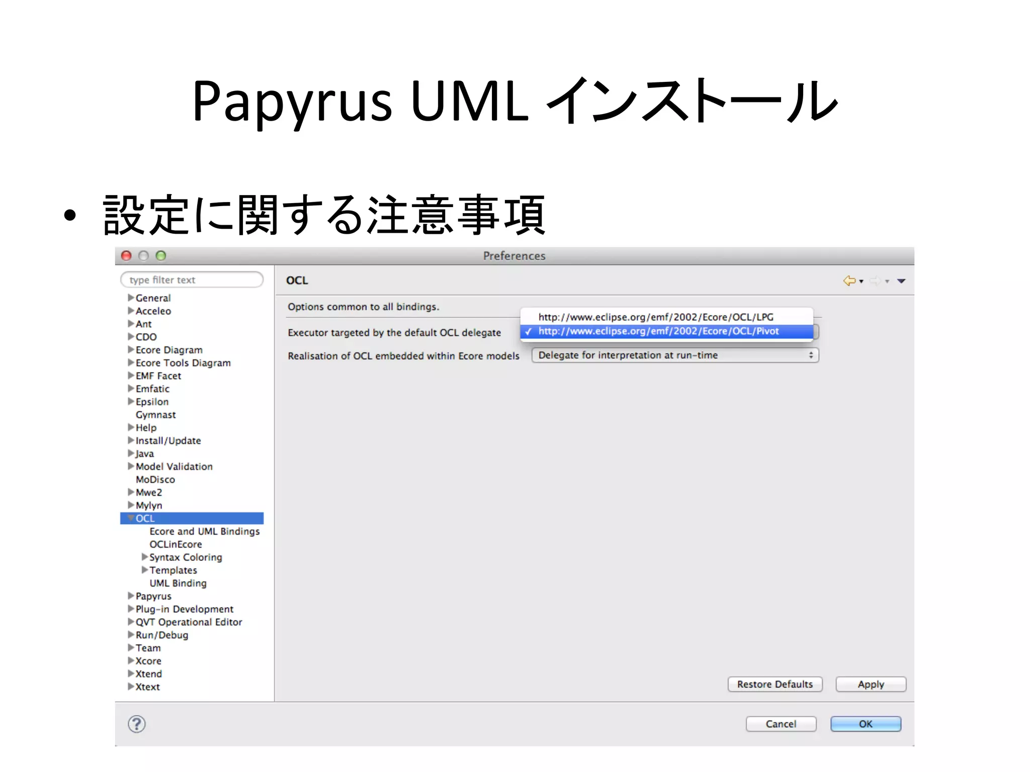 Papyrus	
  UML	
  インストール	
•  設定に関する注意事項	
  
 