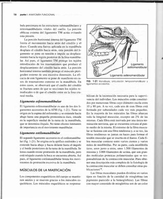 ló porte I ANATOM1AFUNCIONAL
bulapresionaraenlasestructurassubmandibularesy
retromandibularesvitales del cuello. La porció...