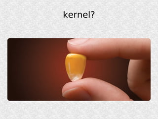 kernel?
 