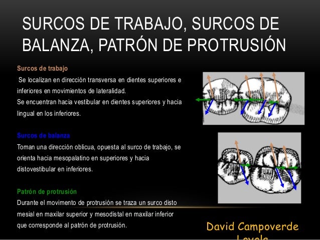 Oclusión